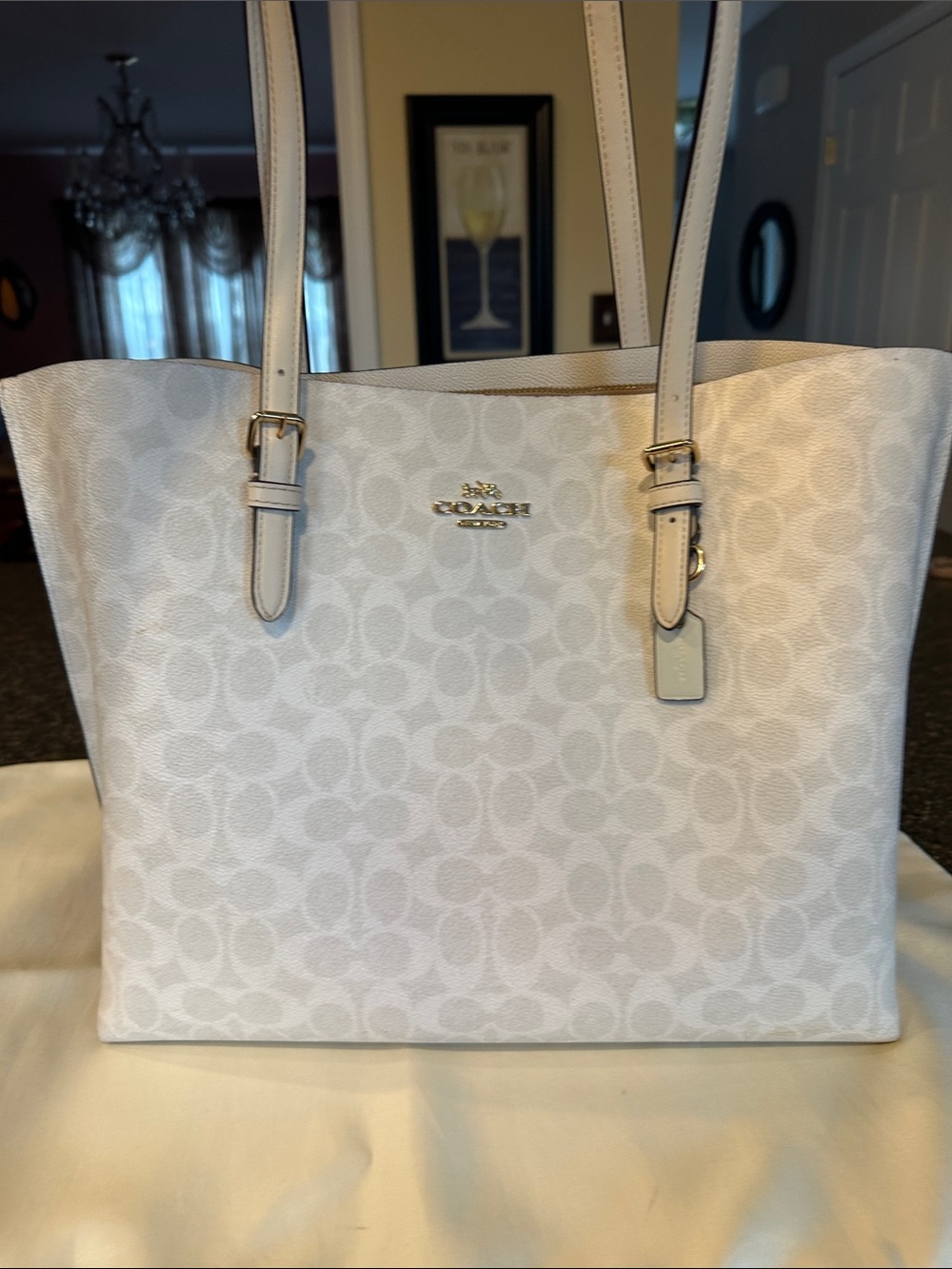 Coach White/Chalk Signature Mollie Tote CV967